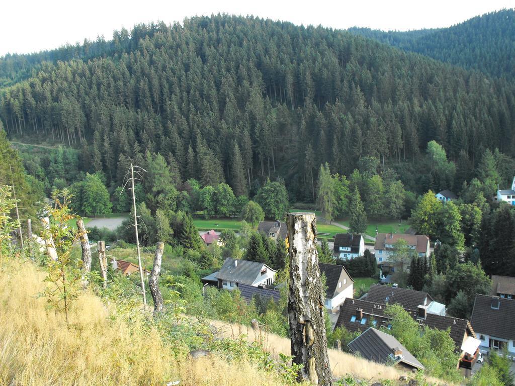 Ferienwohnung Sonnenhuegel Вилдеман Екстериор снимка